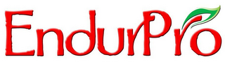 ENDURPRO logo
