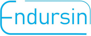 ENDURSIN logo