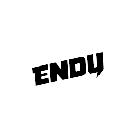 ENDY logo