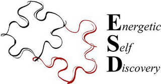 ENERGETIC SELF DISCOVERY logo