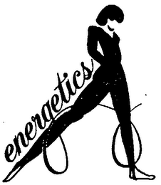 ENERGETICS logo