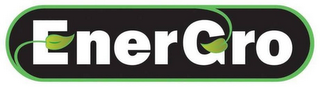 ENERGRO logo