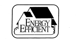 ENERGY EFFICIENT logo