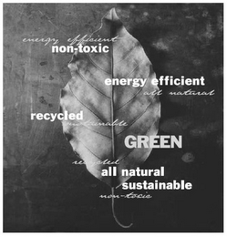 ENERGY EFFICIENT NON-TOXIC ENERGY EFFICIENT ALL NATURAL RECYCLED SUSTAINABLE GREEN RECYCLED ALL NATURAL SUSTAINABLE NON-TOXIC logo