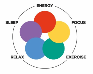 ENERGY FOCUS EXERCISE RELAX SLEEP