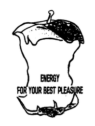 ENERGY FOR YOUR BEST PLEASURE logo