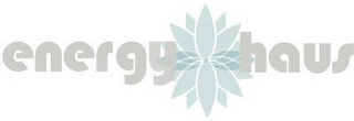 ENERGY HAUS logo