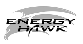 ENERGY HAWK logo