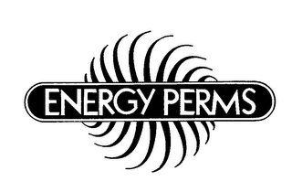 ENERGY PERMS logo
