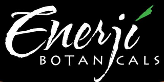 ENERJI BOTANICALS logo