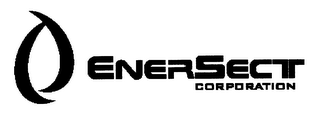 ENERSECT CORPORATION logo
