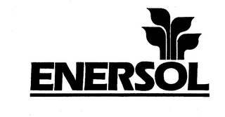 ENERSOL logo