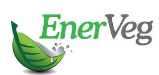 ENERVEG logo