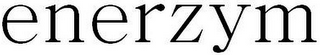 ENERZYM logo