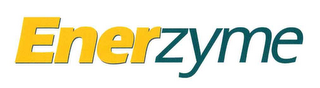 ENERZYME logo