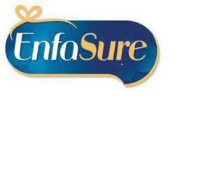 ENFASURE logo