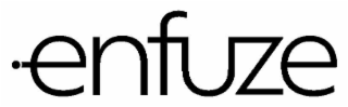 ENFUZE logo