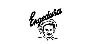 ENGEDURA logo
