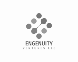 ENGENUITY VENTURES LLC logo