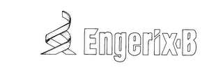 ENGERIX-B logo