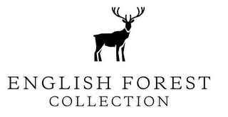 ENGLISH FOREST COLLECTION logo