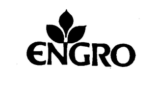 ENGRO logo