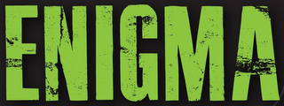 ENIGMA logo