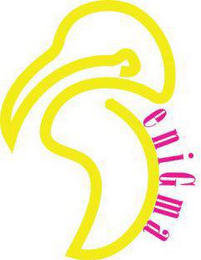 ENIGMA ELITE logo