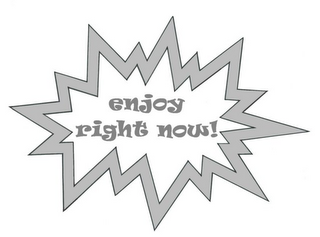 ENJOY RIGHT NOW! logo