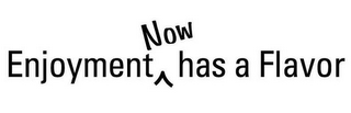 ENJOYMENT NOW HAS A FLAVOR logo