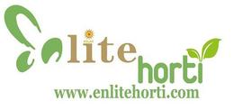 ENLITE HORTI WWW.ENLITEHORTI.COM logo