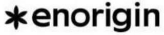 ENORIGIN logo