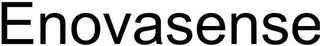 ENOVASENSE logo