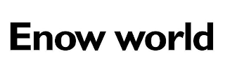 ENOW WORLD logo