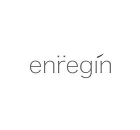 ENREGIN logo