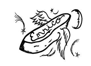 ENRICO logo