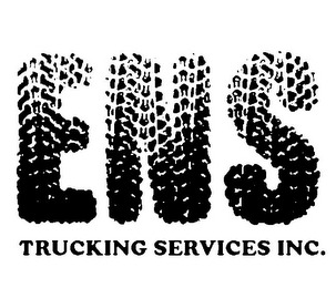 ENS TRUCKING SERVICES INC. logo