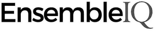ENSEMBLE IQ logo