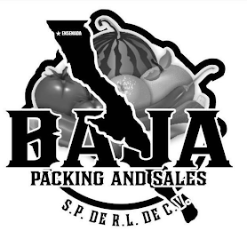 ENSENADA. BAJA PACKING AND SALES S.P. DE. R.L. DE C.V. logo