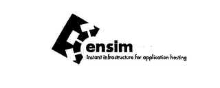 ENSIM INSTANT INFRASTRUCTURE FOR APPLICATION HOSTING logo