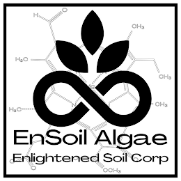 ENSOIL ALGAE ENLIGHTENED SOIL CORP H O CH3 H3C N N CH3 MG H3C N N CH3 O O O OCH3 O logo