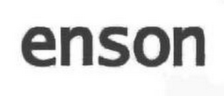 ENSON logo