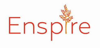 ENSPIRE logo