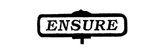 ENSURE logo