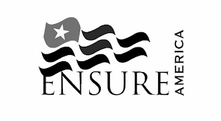 ENSURE AMERICA logo