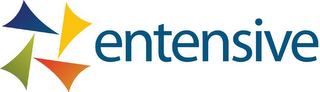 ENTENSIVE logo