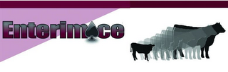 ENTERIMACE logo