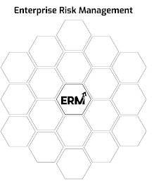 ENTERPRISE RISK MANAGEMENT ERM logo