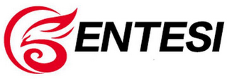 ENTESI logo