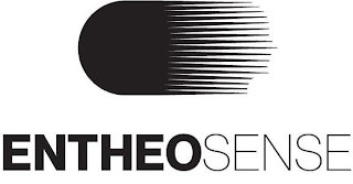 ENTHEOSENSE logo